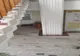 O căprioară speriată s-a refugiat în sediul Prefecturii Brăila 