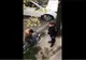 Video: Un jandarm lovește cu piciorul un tânăr după ce îi verificase declarația pe propria răspundere