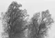 Avertizare cod galben de vânt puternic