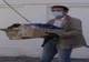 Cosmin Răzmeriță a donat 50 de viziere personalului de la Spitalul de Pneumoftiziologie Brăila