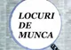 250 de locuri de muncă vacante în Brăila