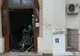 Bărbatul care a aruncat în aer bancomatul din Viziru cercetat și pentru alte infracțiuni