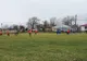 Sportul Chiscani a pierdut cu 0-6 amicalul cu Sporting Liești