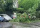 Copaci căzuți în urma furtunii în municipiul Brăila