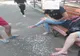 Amenzi aplicate pe linia curățeniei de Poliția Locală