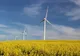 Cehii de la TESLA au ales Brăila pentru o fabrică de baterii de aproape 100 mil. euro pentru stocarea energiei