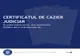 Certificatul de cazier judiciar poate fi obținut online începând de astăzi, prin platformele ghișeul.ro și hub.mai.ro