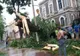 Efectele codului galben de vânt în Brăila