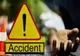 ACCIDENT TRAGIC ÎN ARGEȘ: UN BĂRBAT ȘI-A PIERDUT VIAȚA, IAR O FEMEIE A AJUNS LA SPITAL