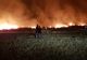 Incendiu de vegetație pe o suprafață de circa 100 hectare