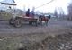 Prins cu produsele agricole furate în căruță