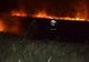 Incendiu de vegetație în Rezervația Insula Mică a Brăilei