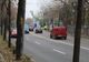 Trei brăileni surprinși de polițiști cu lemne de foc furate din Parcul Monument