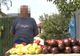 Polițiștii le-au pus gând rău agricultorilor! Vânzările ”la poartă” sunt sancționate!