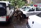 Furtuna a făcut ravagii în Brăila