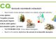 Aproape 8000 de brăileni nu au înțeles ce trebuie să facă cu sacul verde! Învață să colectezi selectiv!