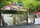 Pestă porcină africană confirmată la Grădina Zoo din Brăila