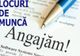 233 locuri de muncă vacante în județul Brăila