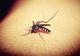 Femeie din Lanurile decedată în urma infectării cu virusul West Nile