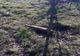 Proiectil exploziv calibrul 152 mm descoperit pe un teren de pe Șoseaua Baldovinești
