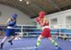 Un brăilean câștigător al Cupei României la box pentru tineret, categoria 81 kg