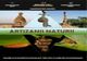 Foto – expoziție cu tema „Artizanii naturii”