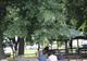 Conflict în zona parcului din Însurăței