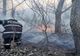 Video: Incendiu de vegetație în Insula Mică a Brăilei