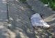 Femeie de 70 de ani accidentată mortal de o autoutilitară. Șoferul a fugit de la locul accidentului