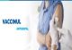 Peste 25.000 de brăileni s-au vaccinat antigripal