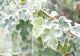 Vremea 2 ianuarie - Început de an cu temperaturi de primăvară