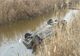 Accident pe DJ 221B, la ieșirea din Brăila spre Baldovinești. O mașină a derapat și a ajuns într-un canal de irigații