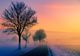 Prognoza meteo pentru patru săptămâni. Meteorologii estimează temperaturi mai ridicate decât cele normale până la jumătatea lunii februarie