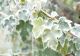 Vremea 20 decembrie - Ce temperaturi se vor înregistra astăzi
