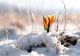 Prognoza meteo 2 februarie. Ploi și temperaturi de primăvară